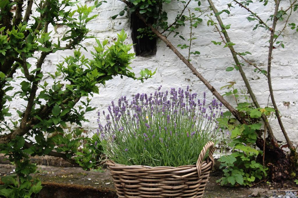 Le Neblon Insolite Ouffet Exterior foto